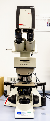 Microscopio de Fluorescencia Leica DM 2000 con cámara Leica DFC 7000 T