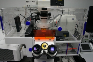 Equipo-Zeiss-LSM7DUO-del-SGI-de-Microscopía-de-la-US.jpg
