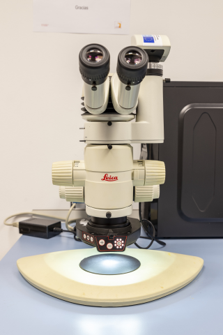 Estereomicroscopio Leica MZ 125 con cámara Leica MC 170 HD