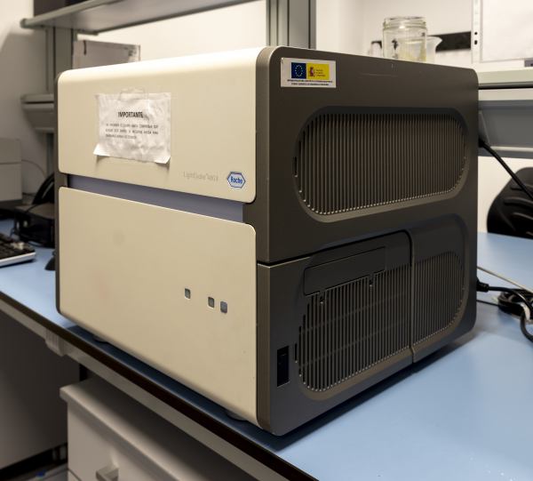 RT-PCR LightCycler 480 II