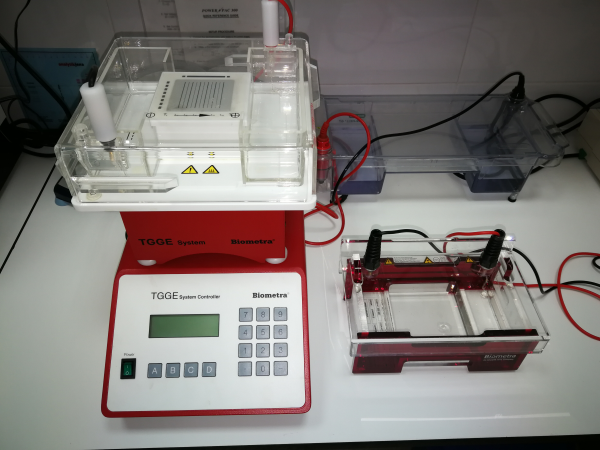 Separador de Gradientes DGGE Biometra/Analytik Jena